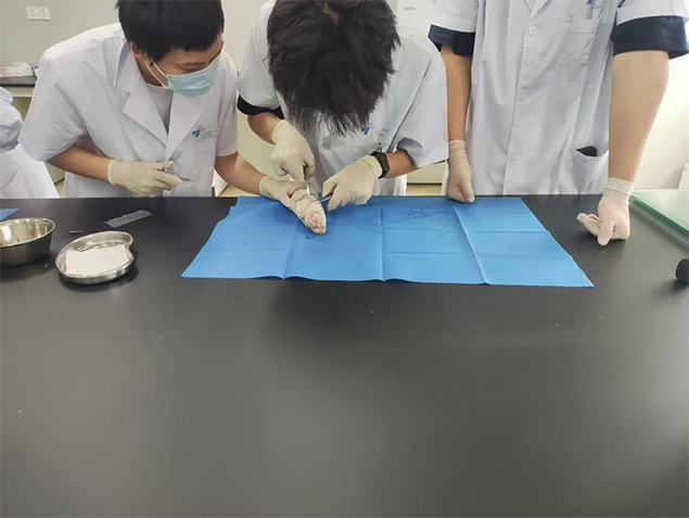 以实训砺技能--展临床新风采3.jpg